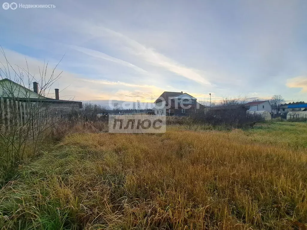 Участок в Владимирская область, Александровский муниципальный округ, ... - Фото 1