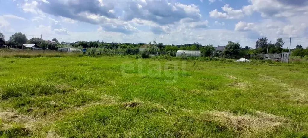 Участок в Нижегородская область, Выкса городской округ, Шиморское рп ... - Фото 1