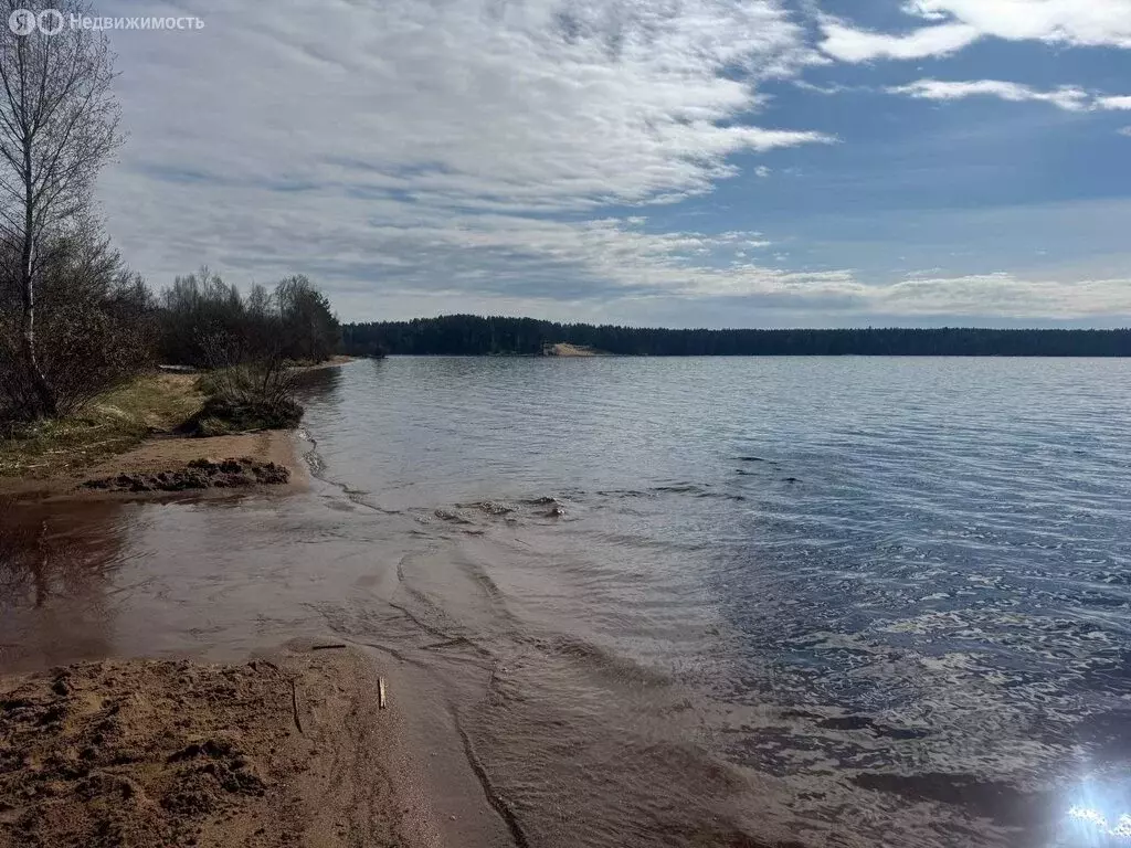 Участок в посёлок Ильичёво, Лесная улица (15 м) - Фото 1