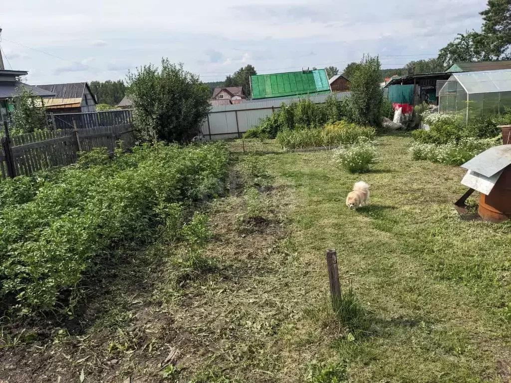 Участок в Новосибирская область, Новосибирский район, Мочищенский ... - Фото 1