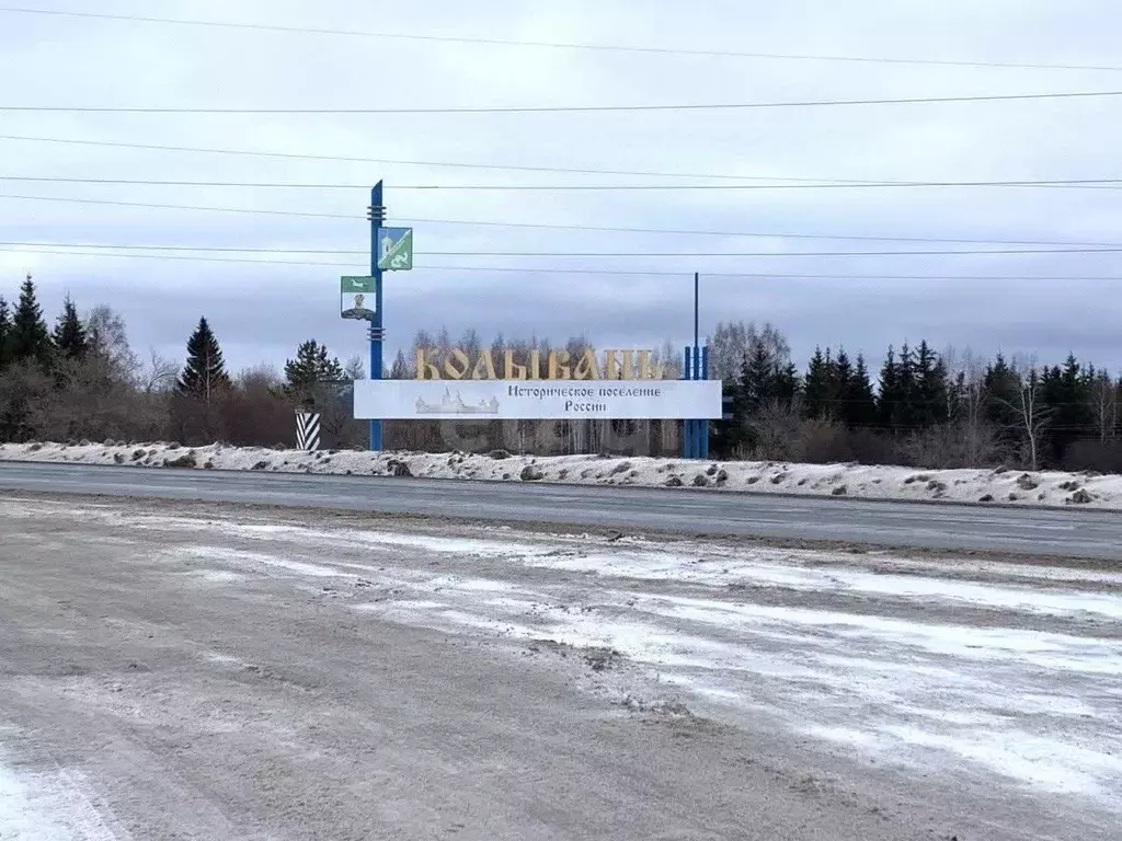 Участок в Новосибирская область, Колыванский район, д. Малый Оеш  (8.0 ... - Фото 2