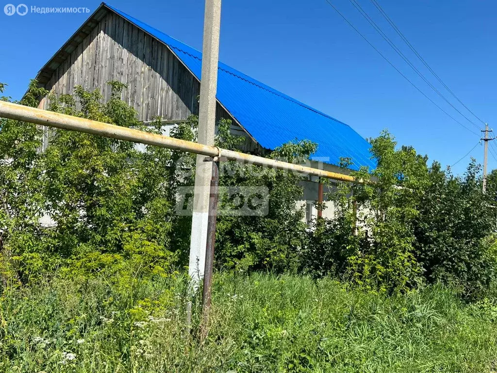 Дом в Грязинский район, Сошкинский сельсовет, село Сошки (180 м) - Фото 1