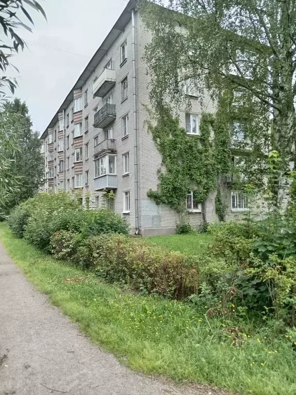 1-к кв. Санкт-Петербург, Санкт-Петербург, Петергоф ул. Халтурина, 11 ... - Фото 1