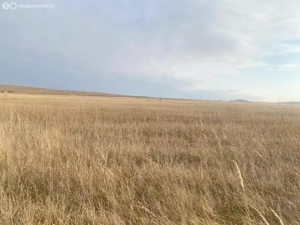 Участок в Ширинский район, посёлок Жемчужный (8 м) - Фото 1