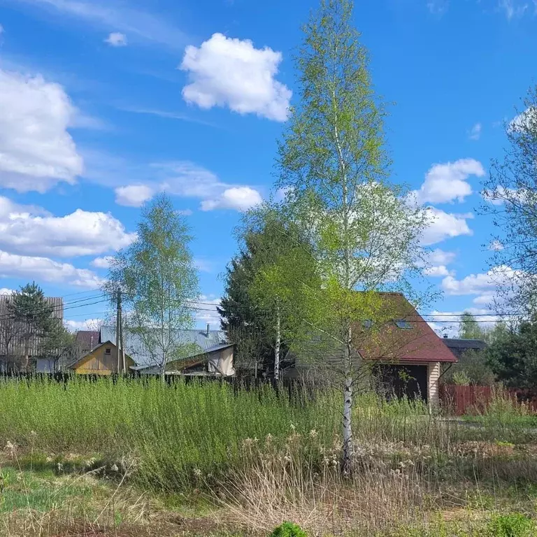 Участок в Московская область, Дмитровский муниципальный округ, пос. ... - Фото 1