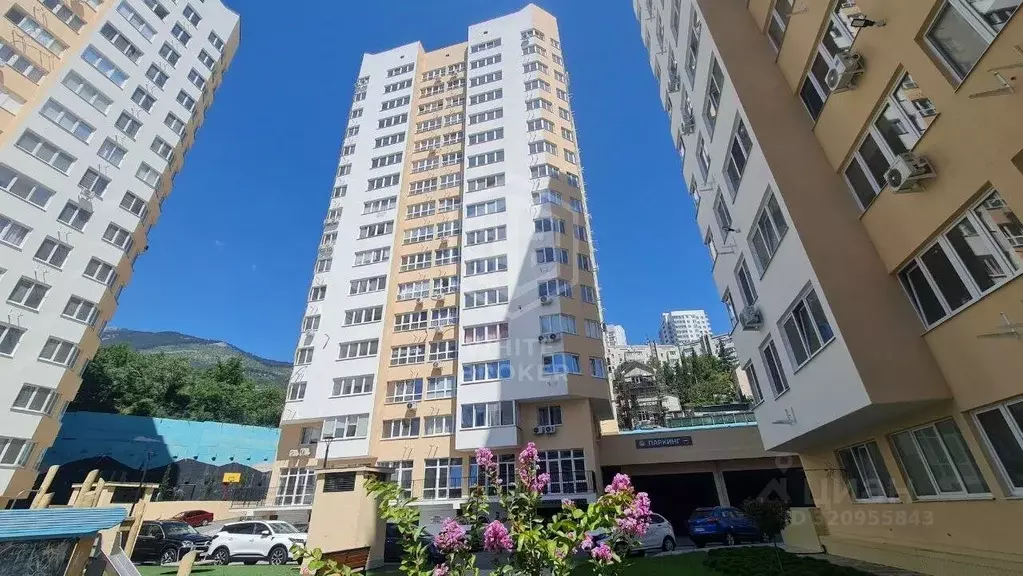 Студия Крым, Ялта ул. Кирова, 155Ак1 (35.8 м) - Фото 0