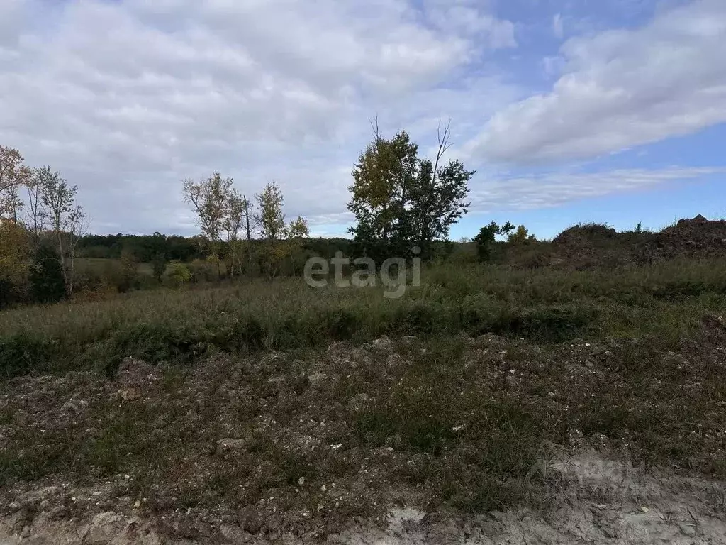 Участок в Амурская область, Благовещенск городской округ, пос. ... - Фото 0