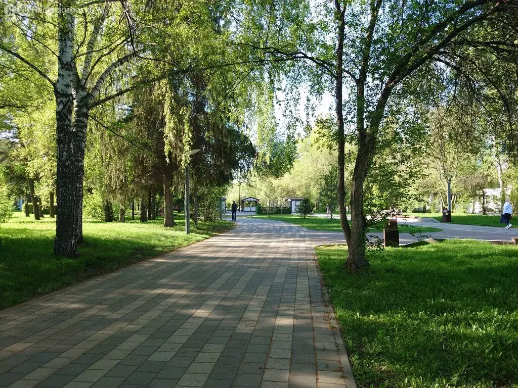 1-комнатная квартира: Кемерово, проспект Ленина, 137Б (16.8 м) - Фото 0