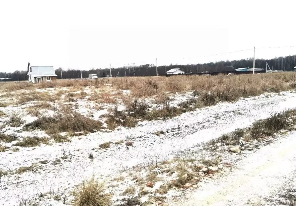 Участок в Московская область, городской округ Чехов, СНТ Ромашкино, 3 ... - Фото 1