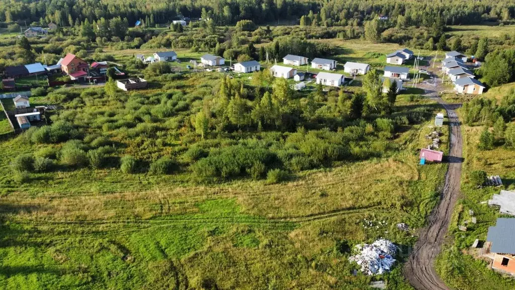 Участок в Томская область, Томский район, с. Корнилово пер. ... - Фото 2