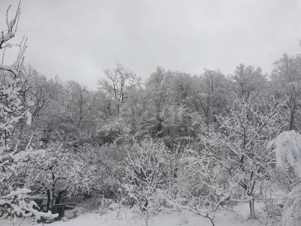 Участок в Краснодарский край, Геленджик городской округ, с. Пшада  ... - Фото 2