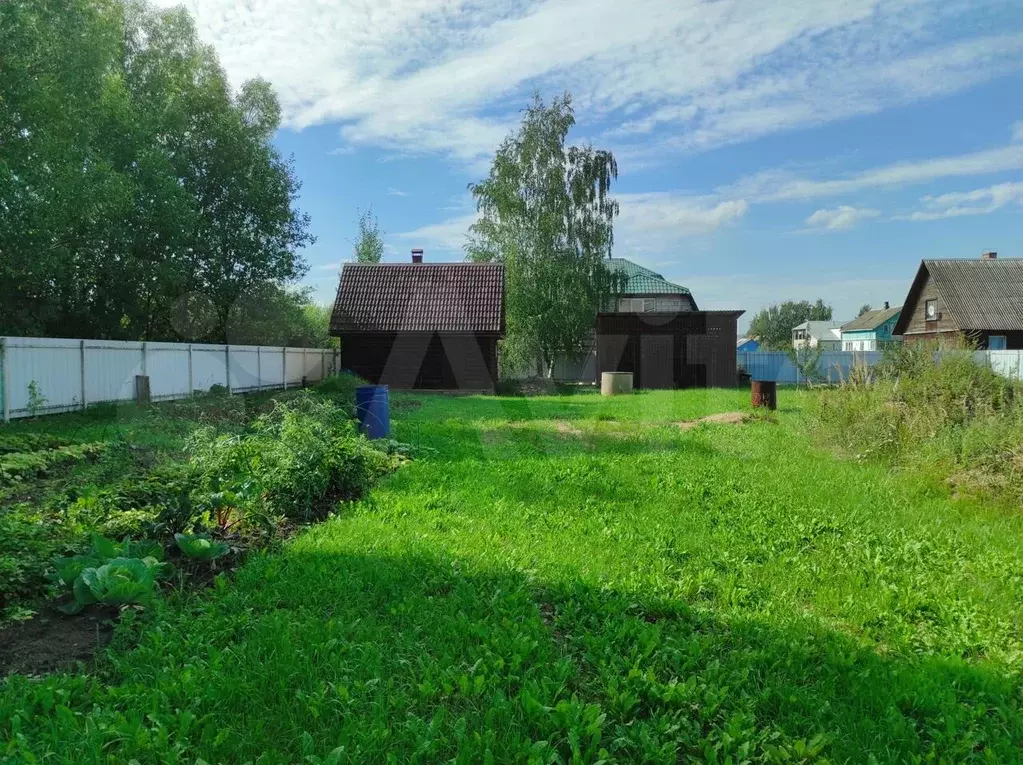 Фото д. Шедяково. Луково участок. Луково участок. Лаврино великие луки.