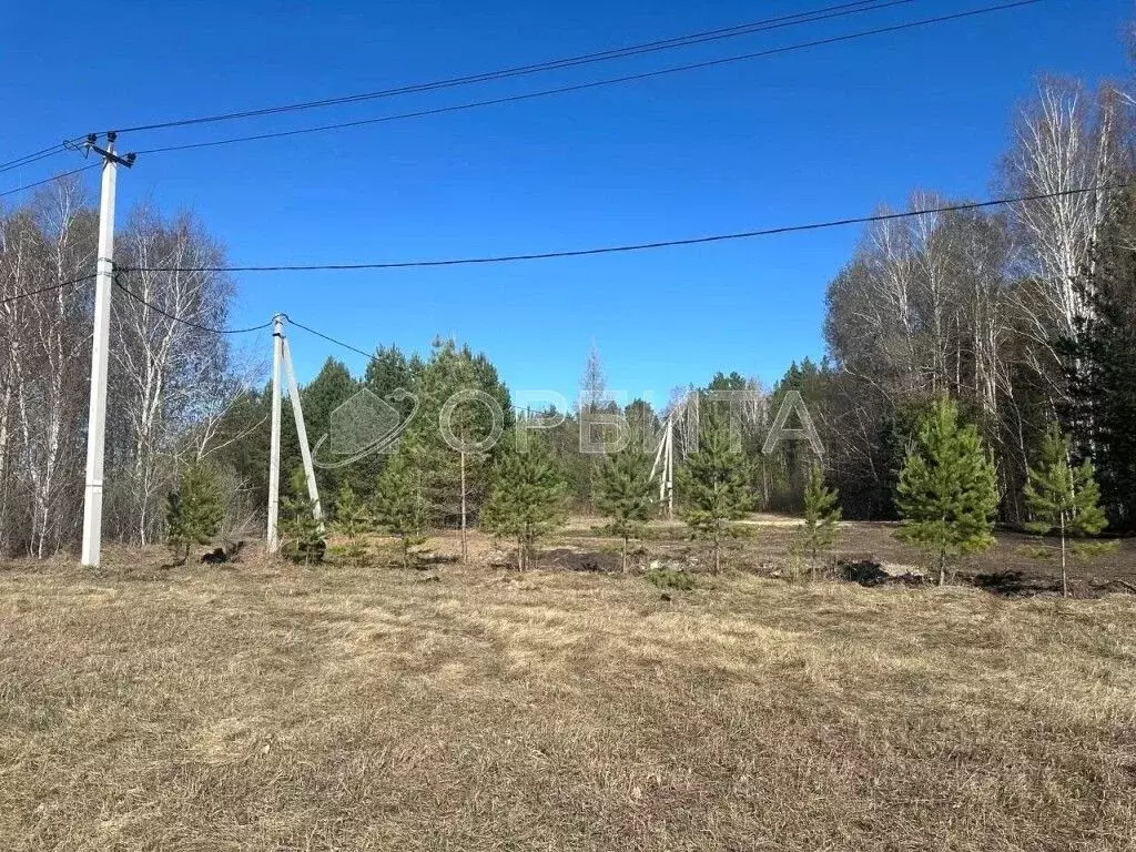 Участок в Тюменская область, Тюменский район, д. Головина Соловьиная ... - Фото 0