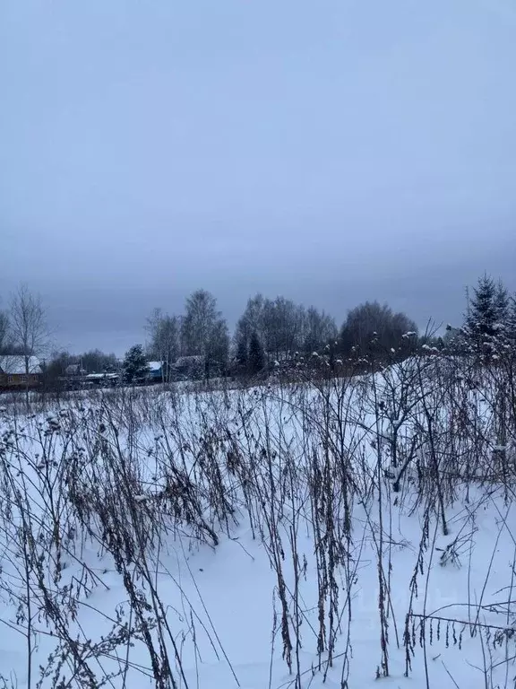 Участок в Московская область, Шаховская муниципальный округ, д. ... - Фото 1