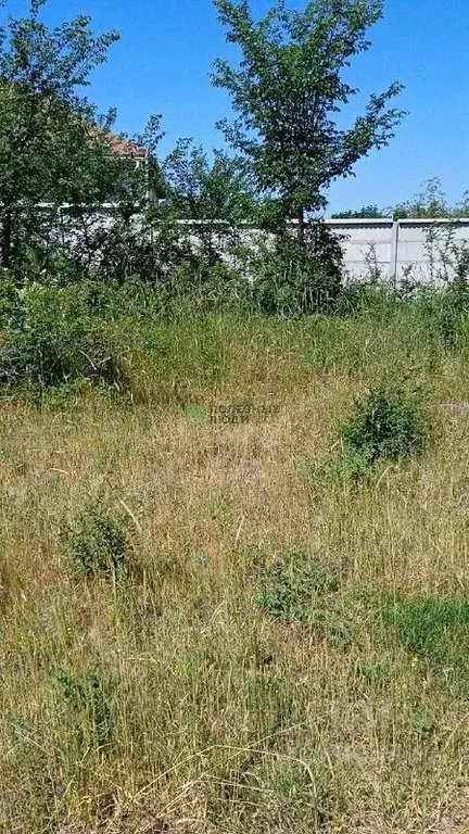 Участок в Севастополь с. Подгорное,  (5.0 сот.) - Фото 1