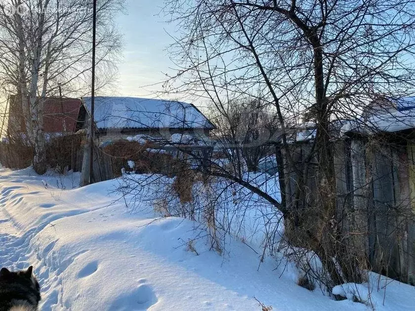 Участок в Тюмень, садовое товарищество Малинка (8 м) - Фото 1