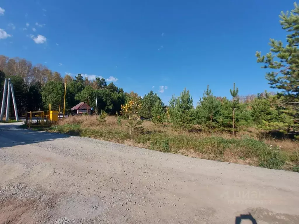 Участок в Новосибирская область, Новосибирский район, Кубовинский ... - Фото 1