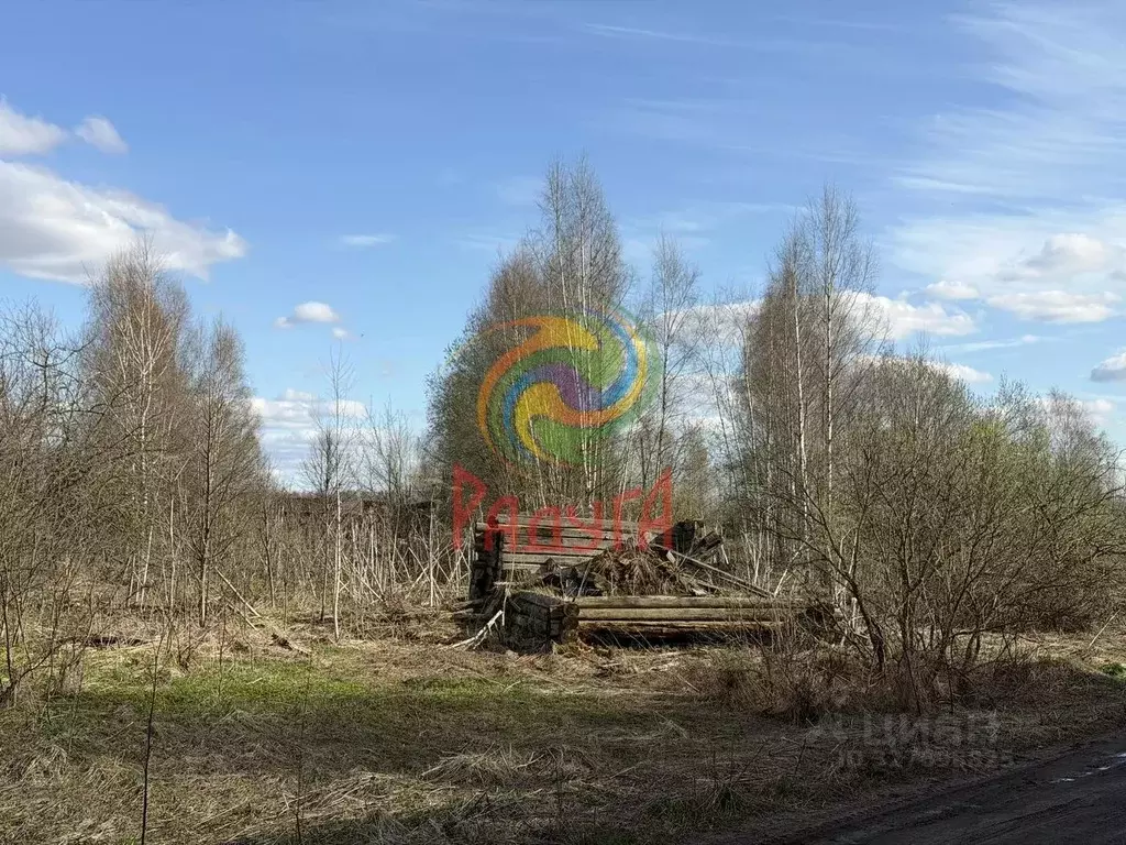Участок в Ивановская область, Ивановский муниципальный округ, с. ... - Фото 1