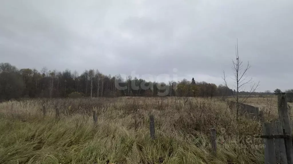 Участок в Брянская область, Брянский район, Стекляннорадицкое с/пос, ... - Фото 2