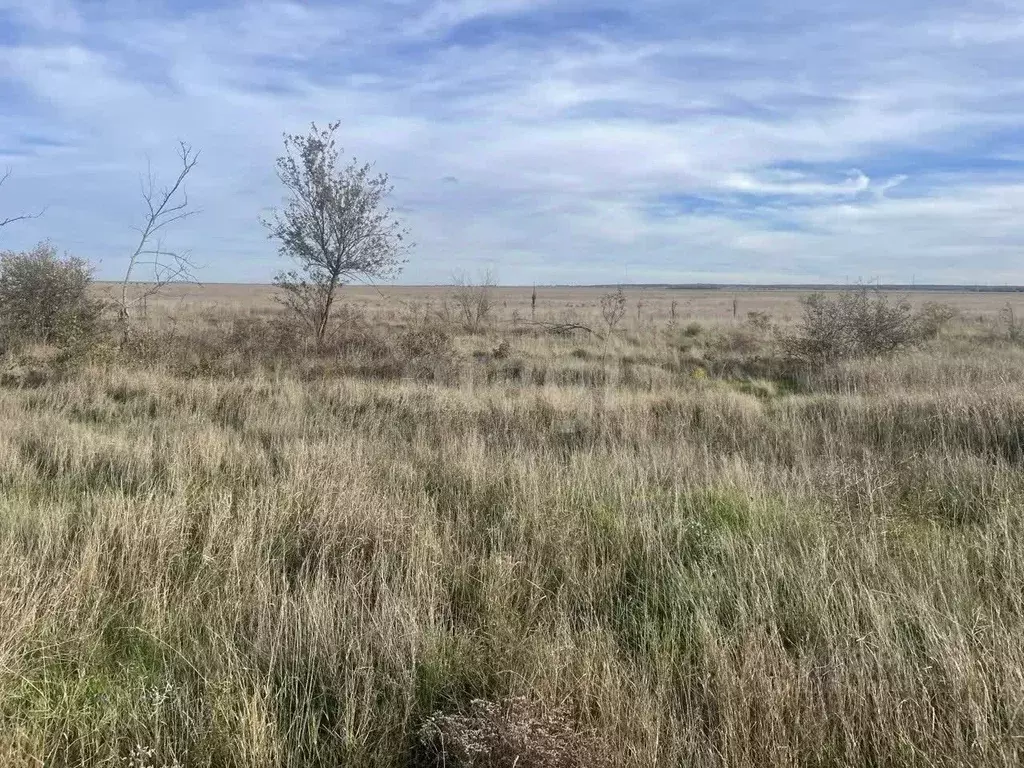 Участок в Крым, Ленинский район, Белинское с/пос, с. Новоотрадное ул. ... - Фото 0