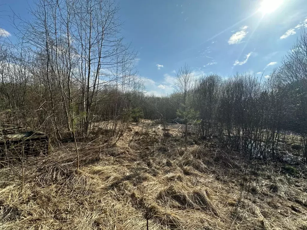 Участок в Московская область, Солнечногорск городской округ, д. ... - Фото 1