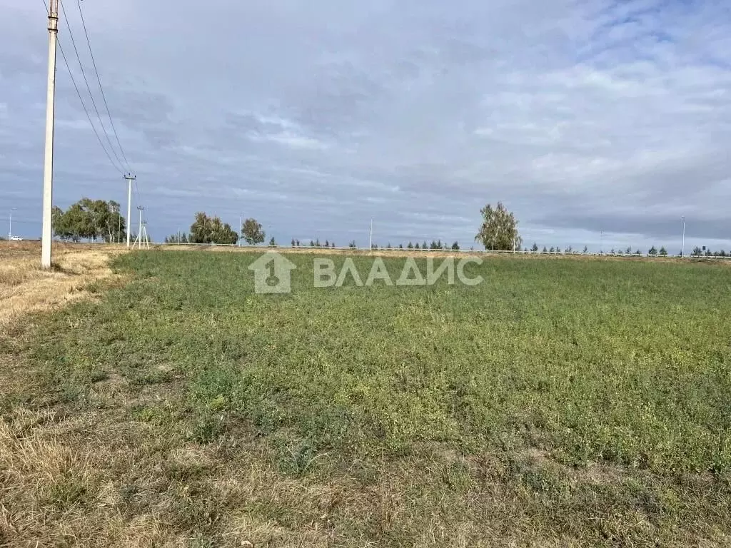 Участок в Белгородская область, Корочанский район, Шляховское с/пос, ... - Фото 1