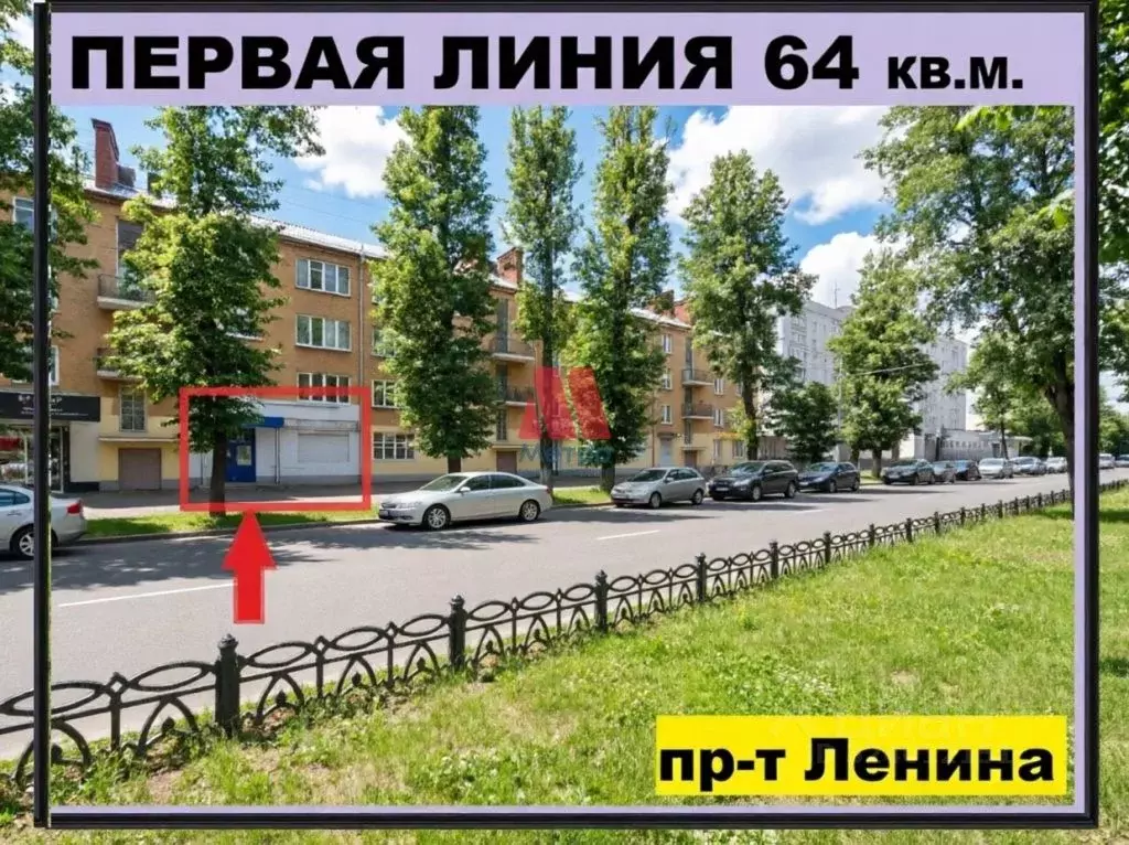 Помещение свободного назначения в Ярославская область, Ярославль ... - Фото 1