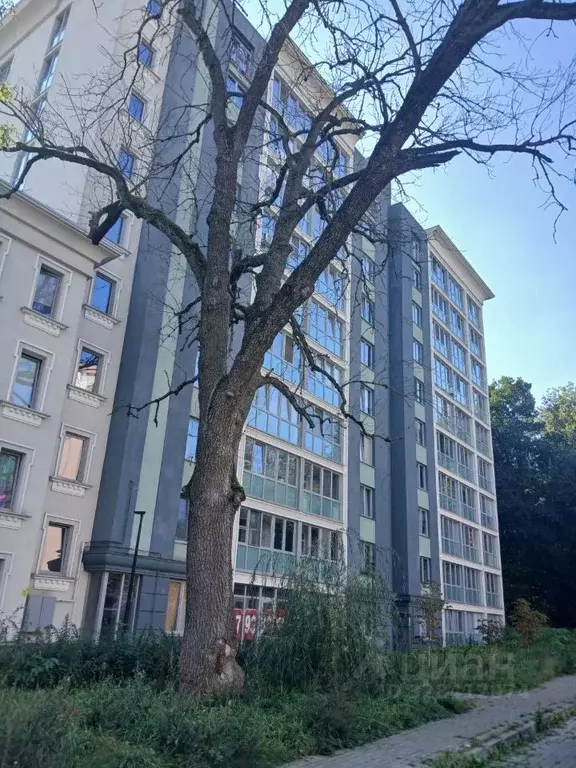 2-к кв. Калининградская область, Калининград Юбилейная ул., 10 (63.0 ... - Фото 2