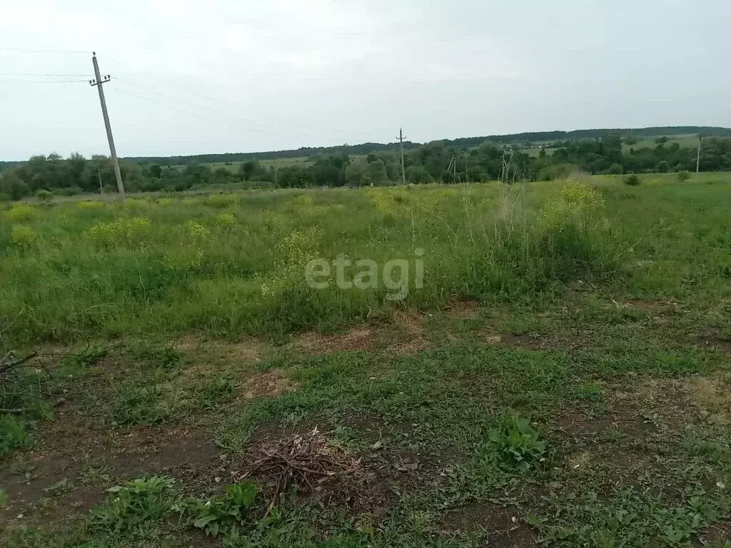 Участок в Белебеевский район, Малиновский сельсовет, деревня Родники ... - Фото 2