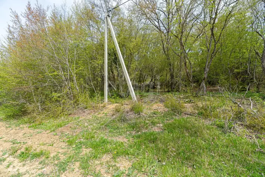 Участок в Севастополь с. Широкое, ул. Микадзе (5.0 сот.) - Фото 0