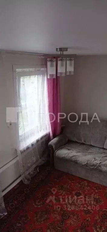 Дом в Алтайский край, Первомайский район, с. Боровиха ул. 2-я ... - Фото 2