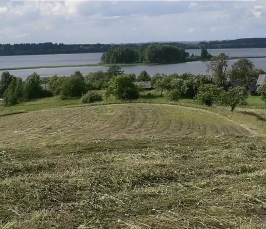 Участок в Псковская область, Себежский район, д. Селявы  (72.0 сот.) - Фото 0