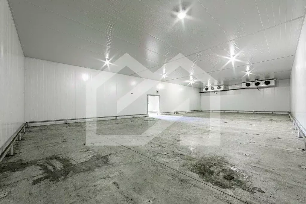 Производственное помещение в Московская область, Раменское ул. ... - Фото 1