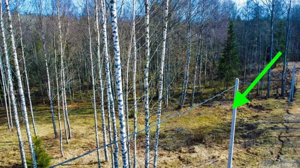 Участок в Ленинградская область, Всеволожский район, Куйвозовское ... - Фото 2