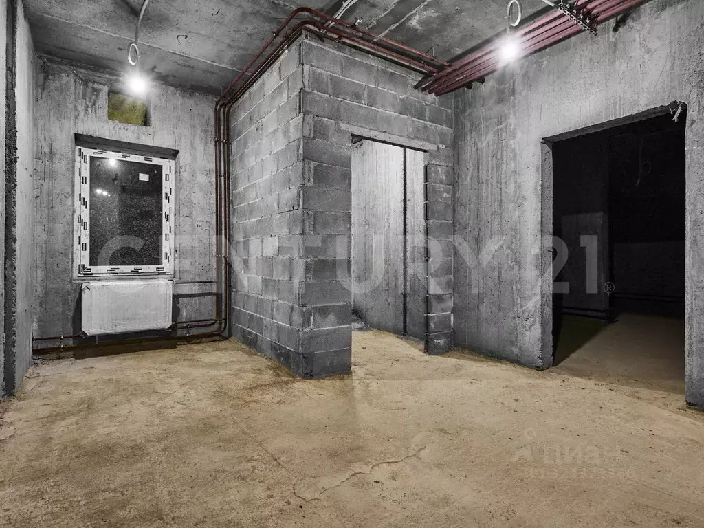 Помещение свободного назначения в Санкт-Петербург пос. Шушары, просп. ... - Фото 1