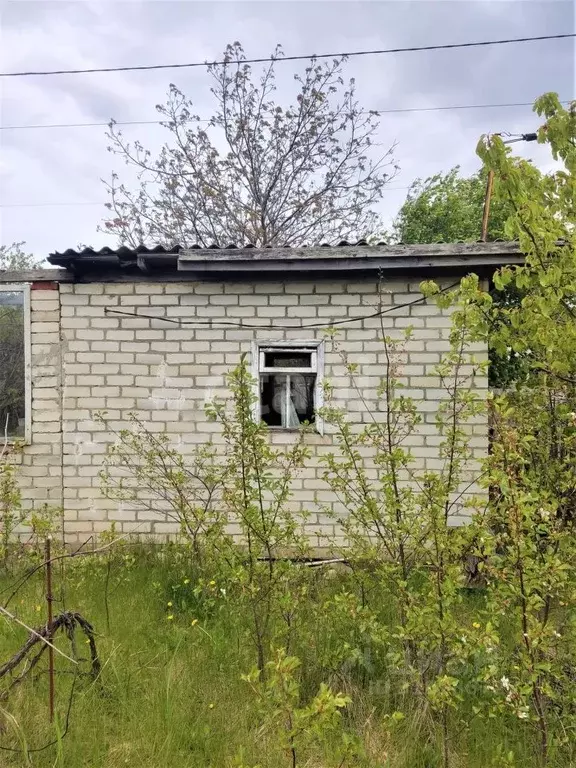 Участок в Белгородская область, Белгородский район, с. Стрелецкое, ... - Фото 1