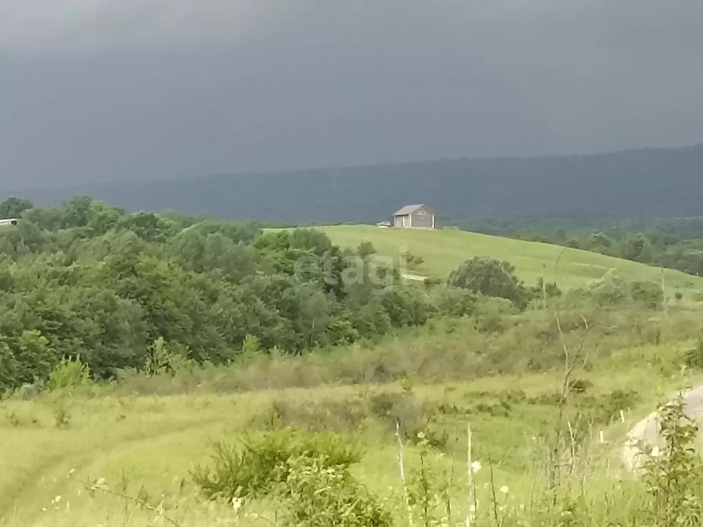 Аул Абадзехская Адыгея