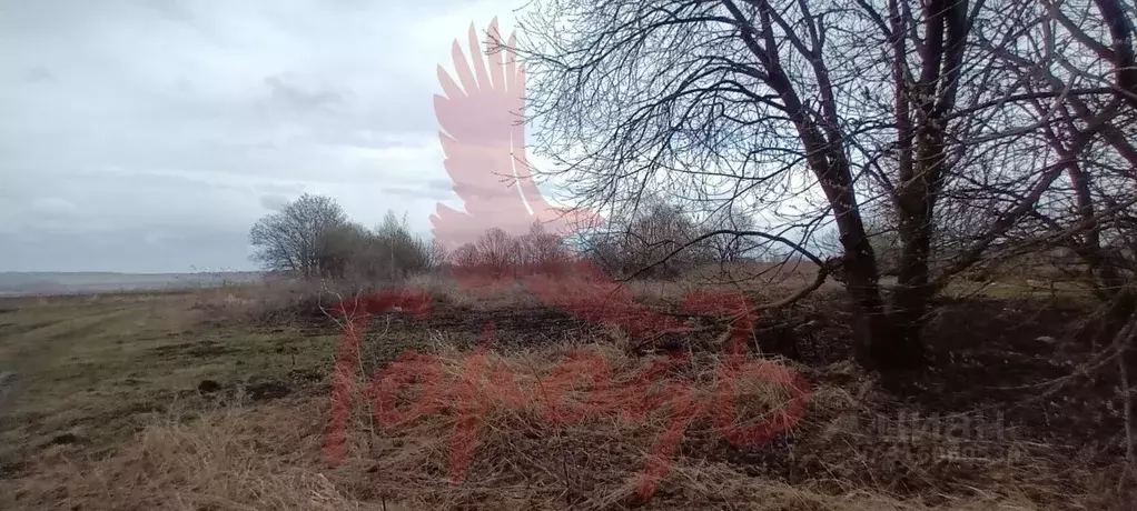 Участок в Орловская область, Урицкий район, Котовское с/пос, д. ... - Фото 0