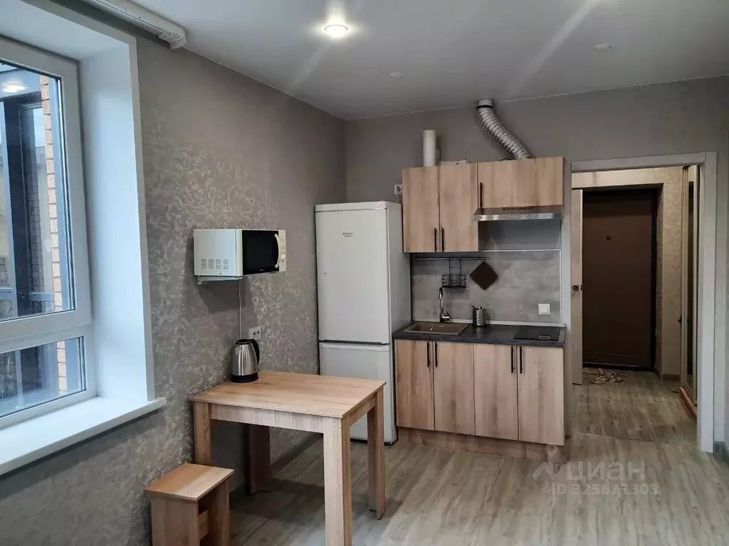 Студия Новосибирская область, Новосибирск Красный просп., 167/4 (24.0 ... - Фото 2