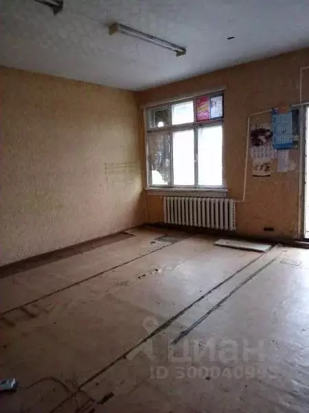 Помещение свободного назначения в Омская область, Горьковский район, ... - Фото 1