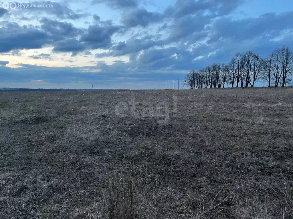 Участок в Щёкинский район, сельское поселение Огарёвское, деревня ... - Фото 2
