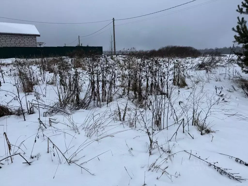 Участок в Московская область, Пушкинский городской округ, д. Никулино  ... - Фото 0