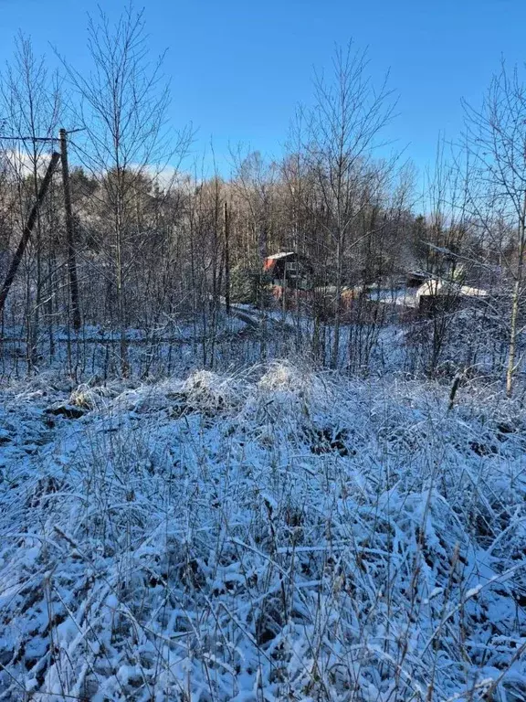 Участок в Ленинградская область, Выборгский район, Первомайское с/пос, ... - Фото 1
