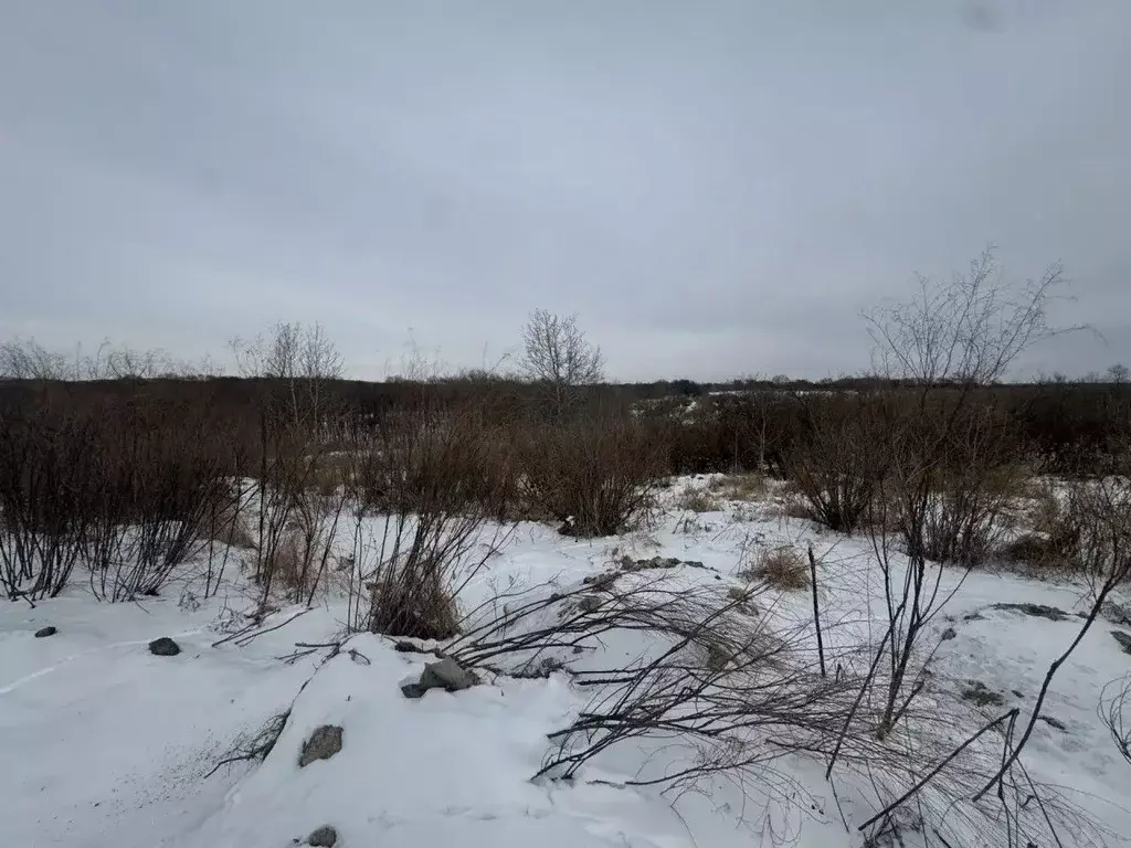 Участок в Приморский край, Уссурийский городской округ, с. Воздвиженка ... - Фото 1