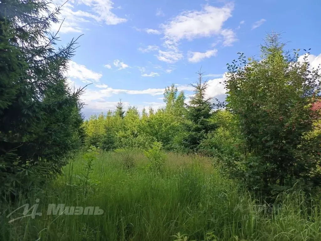 Участок в Московская область, Одинцовский городской округ, Скоротово ... - Фото 1