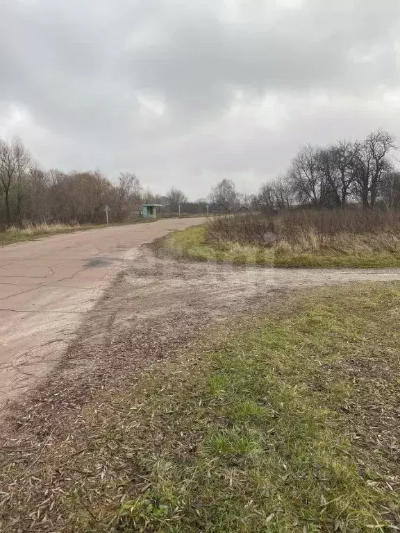 Участок в Брянская область, Навлинский район, Бяковское с/пос, д. ... - Фото 1