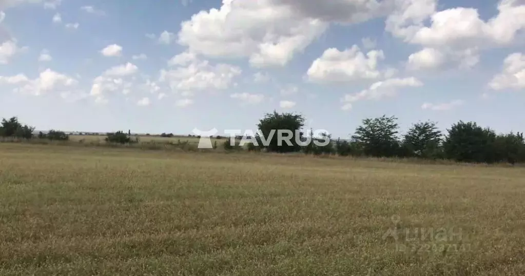 Участок в Крым, Симферопольский район, с. Родниково ул. Крымская, 65 ... - Фото 1