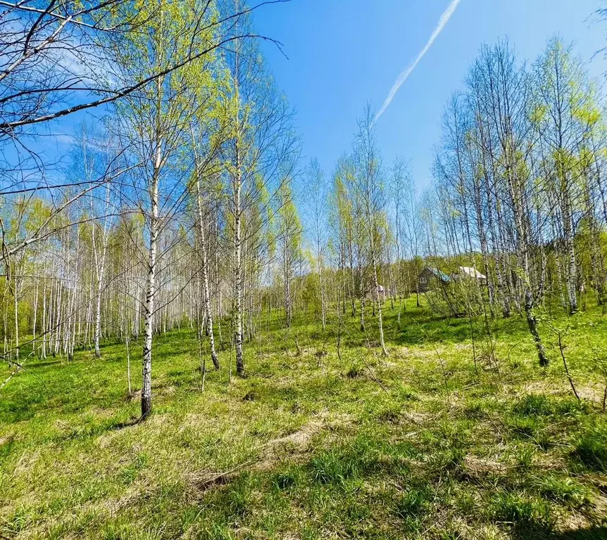 Участок 20 сот. (СНТ, ДНП) - Фото 1