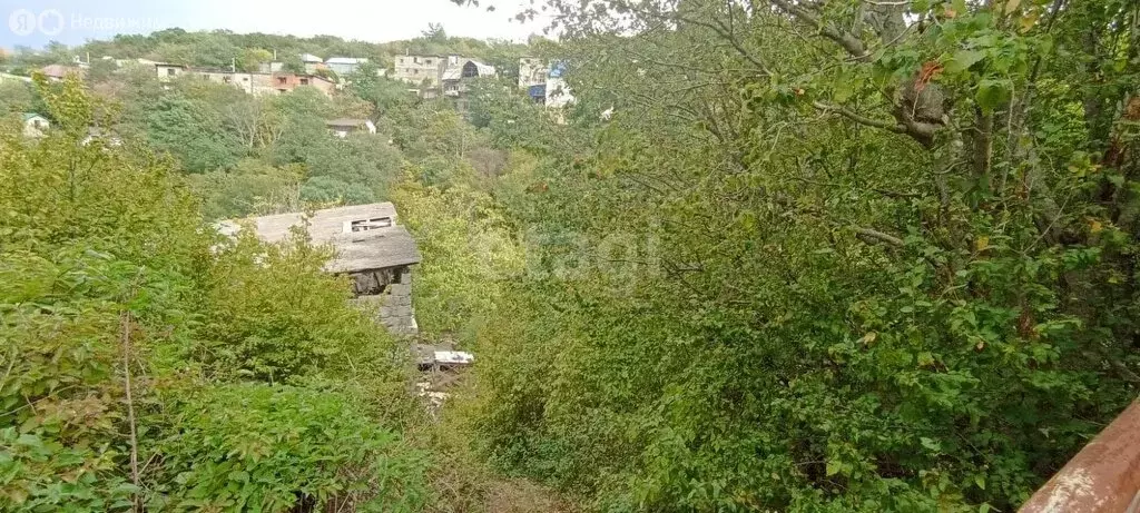 Участок в Сочи, СТ Швейник (7.6 м) - Фото 1