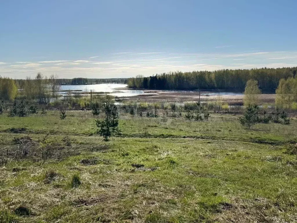 Участок в Костромская область, Красное-на-Волге пгт ул. Заречная, 15 ... - Фото 2